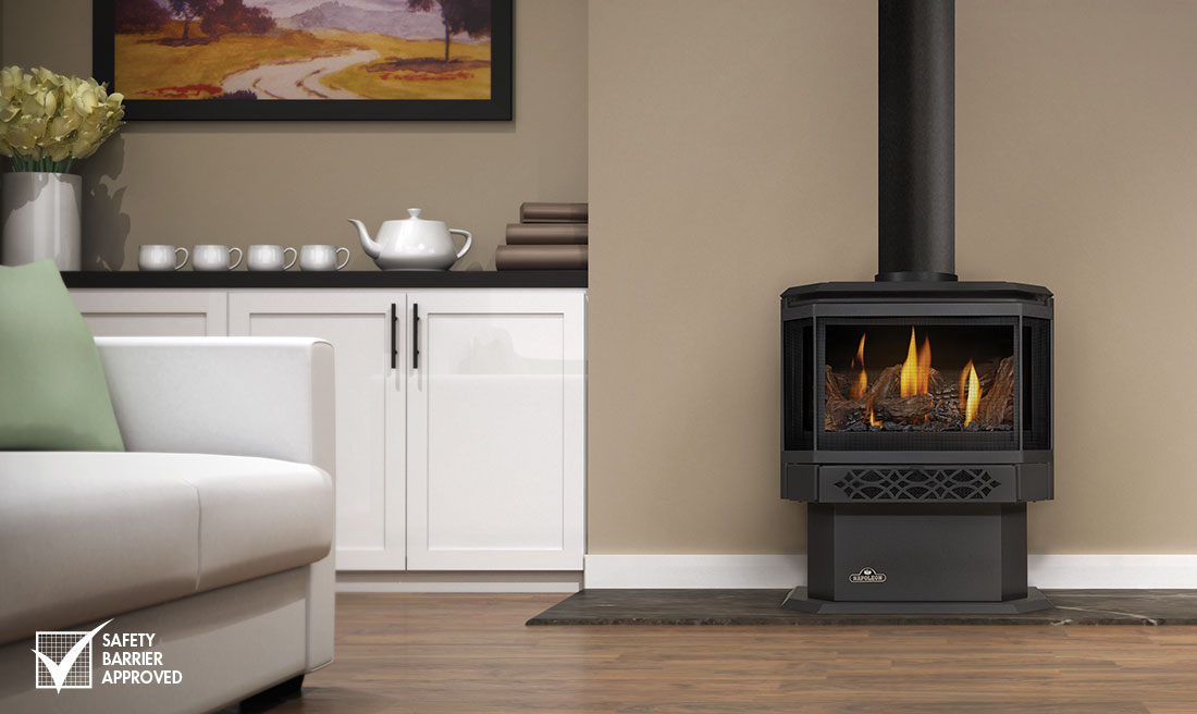 1100x656-main-product-image-gds28-napoleon-fireplaces