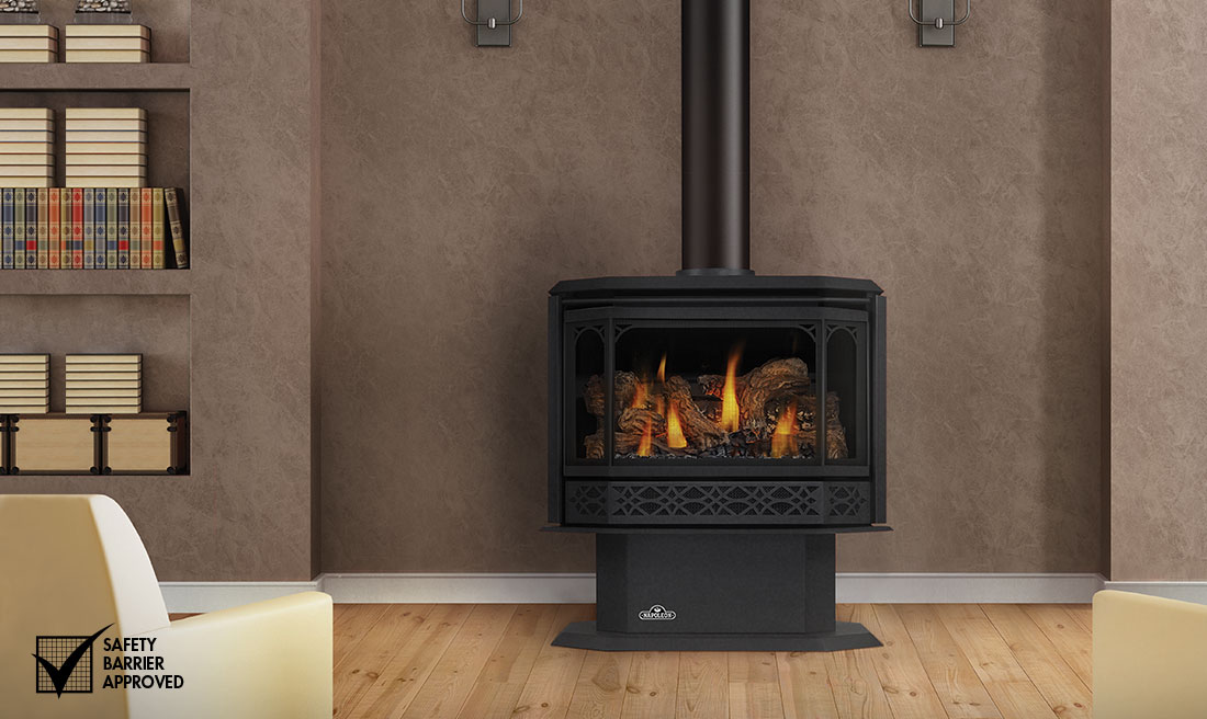 1100x656-main-product-image-gds50-napoleon-fireplaces